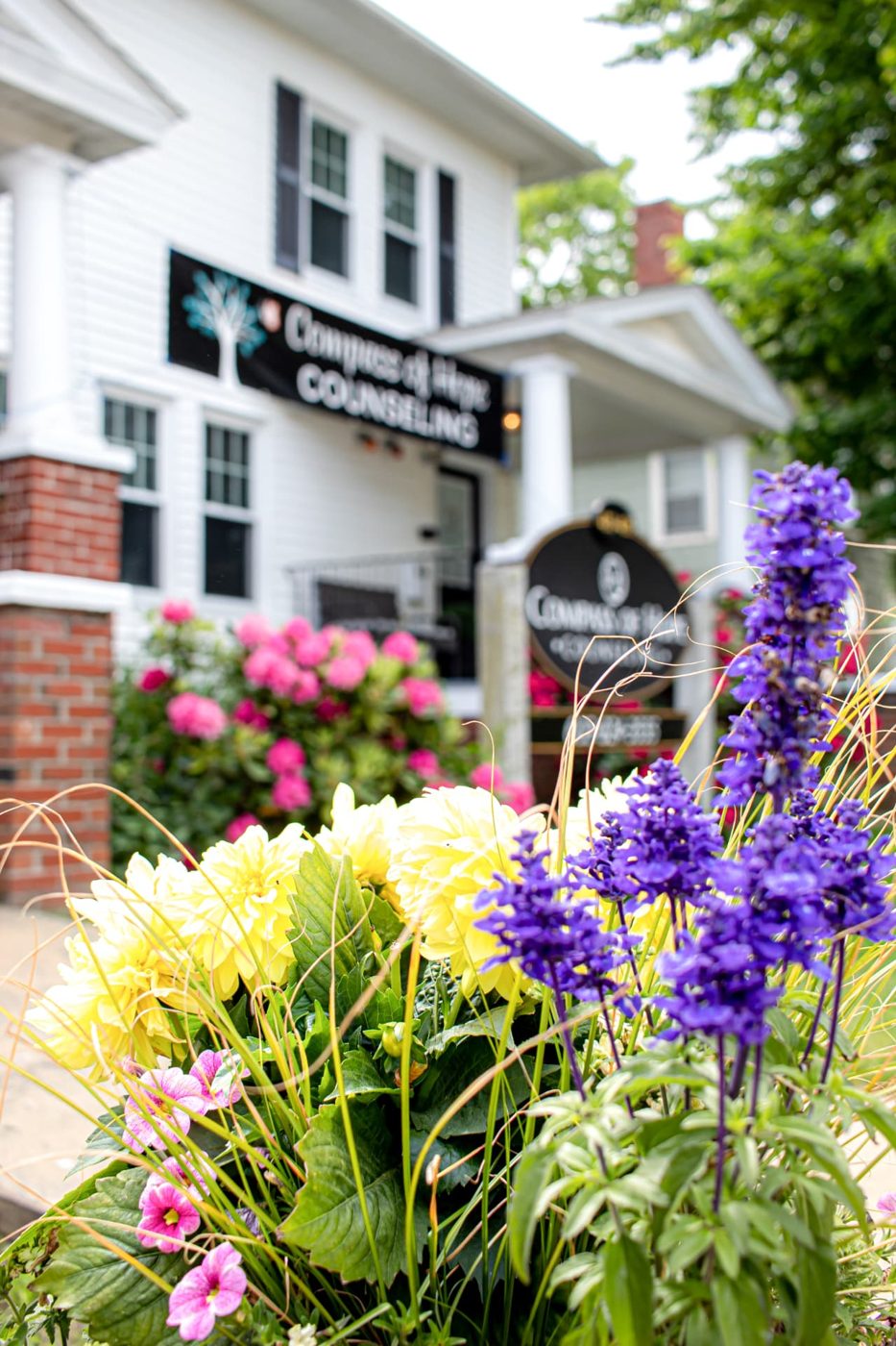 Purple and yellow flowers in front of the Compass of Hope Hampton office